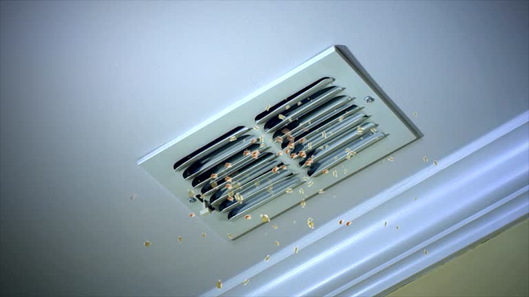 Best Air Vent Cleaning Services  in Traer, IA